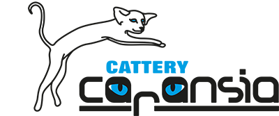 Cattery Caransia